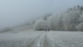 /album/prechadzky/p1340768-jpg/